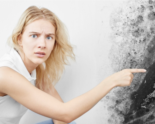 Mold Removal Services | Deadly Effects | BC Green Demolition