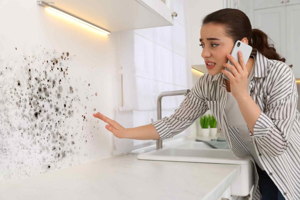 mold in the house
