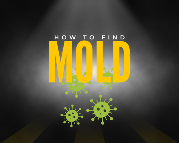 How to Find Mold in Your Home: Signs, Symptoms, and Solutions