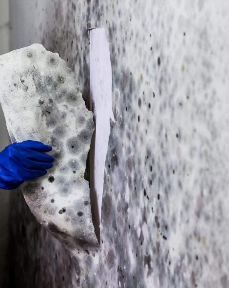 mould-prevention